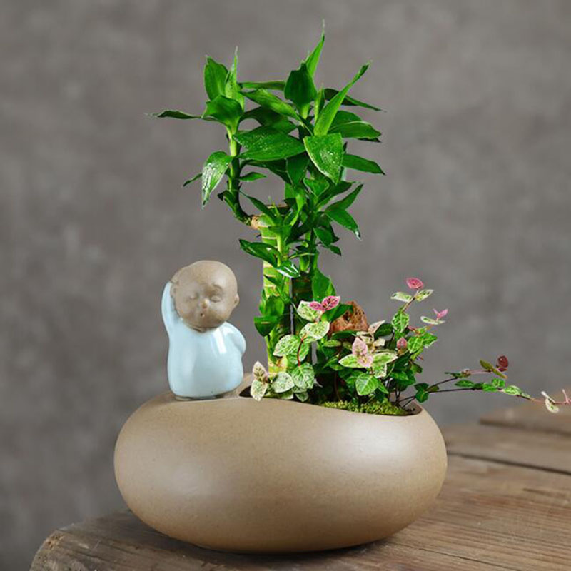 중국 스타일 복고풍 세라믹 스님 화분 즙이 많은 식물  - Bonsai Garden Art 리뷰 및 가격