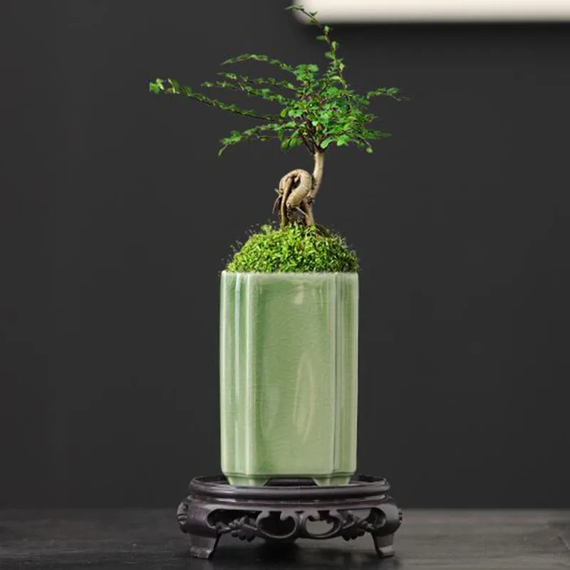 도자기 사각형 청자 유약 꽃병 분재 화분 공예품 예술  - Bonsai Garden Art 리뷰 및 가격